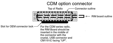 RIM/Accessory Connector